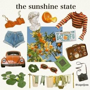 Sunshine state style mystery box